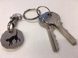 Trolley token key ring